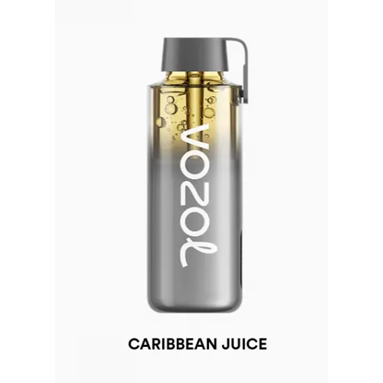 Vozol Neon 12000 Pro