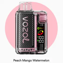 Vozol Vista 20000 Puff